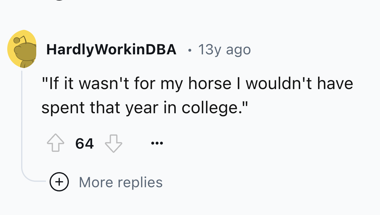 circle - HardlyWorkinDBA 13y ago "If it wasn't for my horse I wouldn't have spent that year in college." 64 More replies